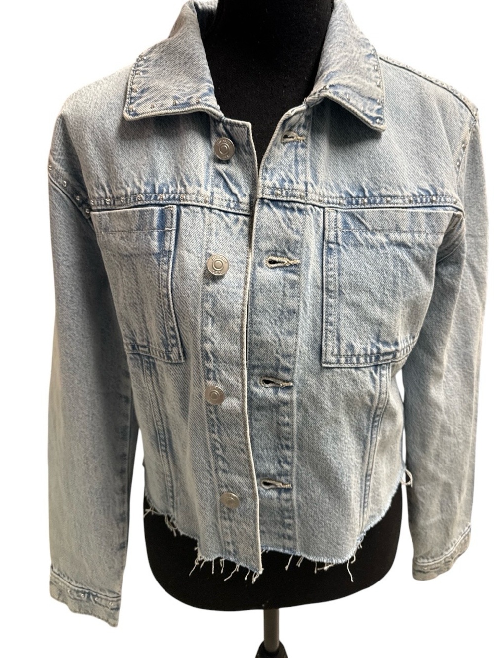 HUDSON Jeans Rei Cropped  Micro Studded Denim Jacket Britney Collection
NWT